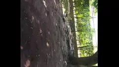 Play Teen Latina Begs for Cock in Public